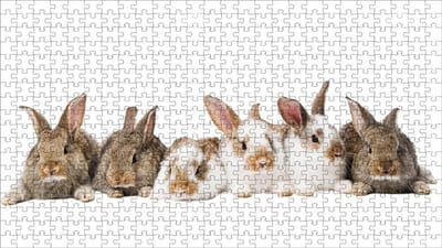 Puzzelboek Kinderen - Legpuzzel 1000 - Ontspannend Tijdverdrijf - Hoge Kwaliteit Hout - 75x50cm - Dier Kleuren