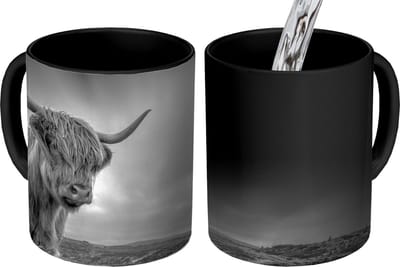 Magische Mok - Foto op Warmte Mokken - Koffiemok - Koeien - Schotse hooglander - Natuur - Dieren - Zwart wit - Magic Mok - Beker - 350 ML - Theemok
