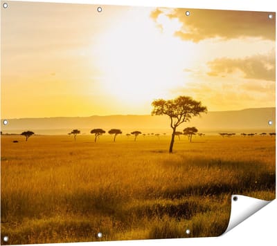 Gards Tuinposter Zonsondergang in de Savanne - 120x90 cm - Tuindoek - Tuindecoratie - Wanddecoratie buiten - Tuinschilderij