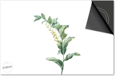 Inductie beschermer 60x60 - afdekplaat inductie mat - Dietrix Kookplaat beschermer - Exclusief - Botanical - Plantje kelkjes