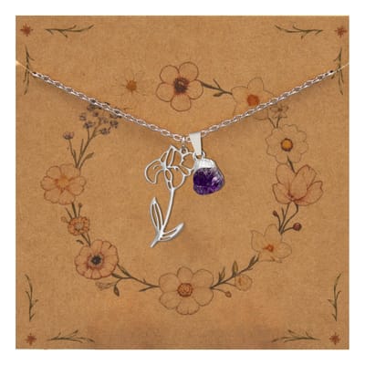 Bixorp Geboortebloem + Geboortesteen Ketting Februari - Iris & Amethist - Zilverkleurig Stainless Steel - Bloem & Ruwe Edelsteen Hanger - 45+5cm