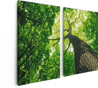 Artaza Canvas Schilderij Tweeluik Boom In Het Bos Met Fel Groene Bladeren - 80x60 - Foto Op Canvas - Canvas Print
