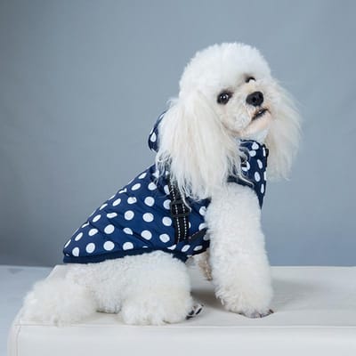 Winter Reflecterend Groot Huisdier Hondenjack Met Tuigje Warme Kleding Voor Labrador Waterdichte Jas Chihuahua Franse Bulldog Outfits S
