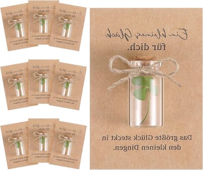 SnelShoppen - 20 Sets Gelukscharms met Echte Vierbladige Klavers in Glazen Jars en Gelukswensen Kaarten voor Verjaardagen, Kerst en Geluk
