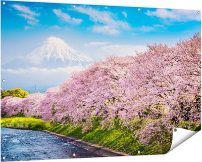 Gards Tuinposter Roze Bloesembomen bij de Fuji Berg - 150x100 cm - Tuindoek - Tuindecoratie - Wanddecoratie buiten - Tuinschilderij