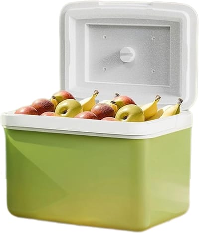 Campingkoeler - Draagbare koelbox - Outdoor avonturen - Grote capaciteit - 10 liter - Groen
