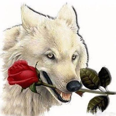 Cross Stitch Kit DIY Diamond Borduren Witte Wolf rose Diamond Schilderen Mozaïek Home Decor 30X30CM beige