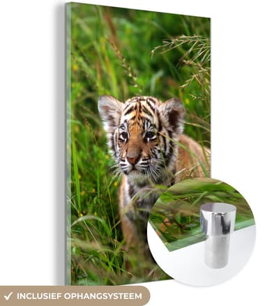 MuchoWow® Glasschilderij 40x60 cm - Schilderij acrylglas - Bengaalse Tijger - Gras - Planten - Foto op glas - Schilderijen