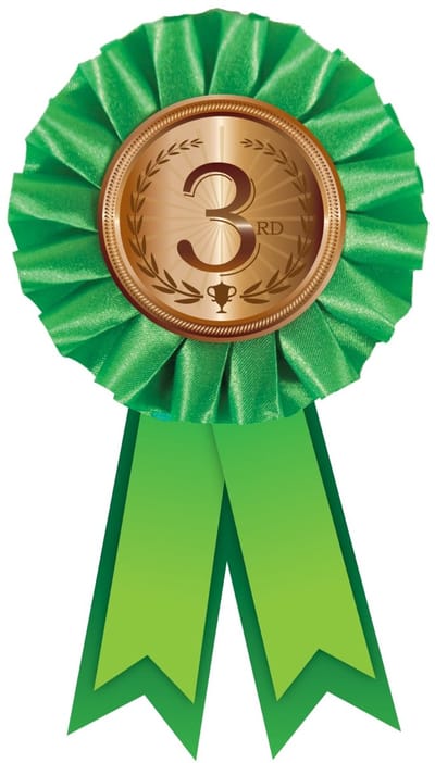 Rozet ''3rd''