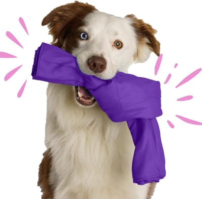 Interactieve Snuffelmat voor Honden - Hersenwerk en Verrijking Speelgoed