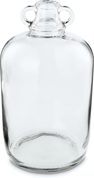 vtwonen Vaas Double Ear Glas