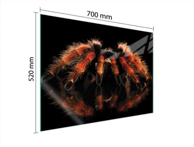 TMK ArtDeko - Glazen Beschermplaat - 70x52 cm - Veilig - Modern