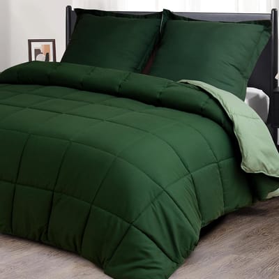 Dekbedovertrek Set - Dekbed met kussenslopen - Alle seizoenen slapen - Omkeerbaar tweekleurig design - 240 x 220 cm - Groen