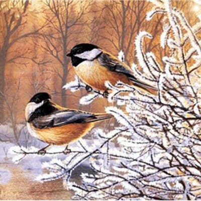 5D DIY diamant schilderij vogels kruissteek volledige ronde boor foto van strass winter 30x30CM gray