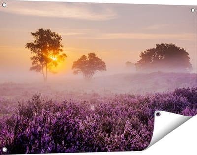 Gards Tuinposter Weide in de Veluwe bij Zonsondergang - 90x60 cm - Tuindoek - Tuindecoratie - Wanddecoratie buiten - Tuinschilderij