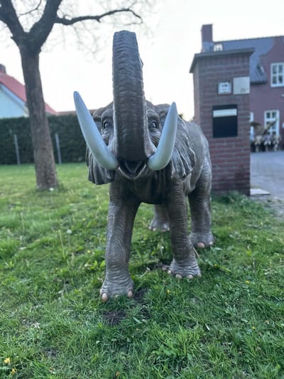 Goodyz- Jungle Dieren - Olifant - Levensechte Olifant - 200cm lang - orginele kleur.