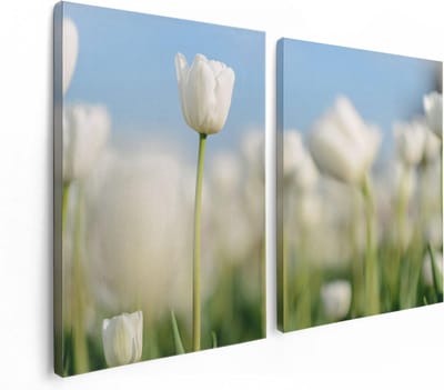 Artaza Canvas Schilderij Tweeluik Witte Tulpen - Bloemen - 120x80 - Foto Op Canvas - Canvas Print