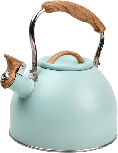 Fluitketel - Waterketel - Water Koken - Zelfnivellerend - 3 Liter - Turquoise