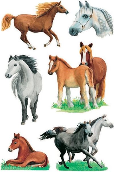 Etiket herma 3553 paarden rassen | 10 stuks
