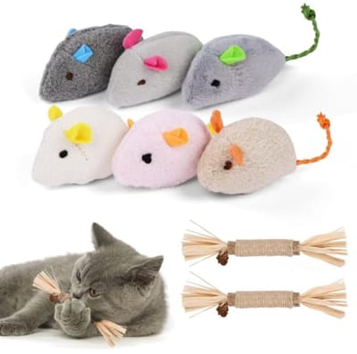 Natuurlijke Kattenkruid Sticks en Interactief Speelgoed voor Katten