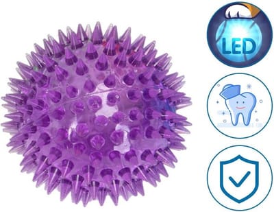 Nobleza Hondenbal - Hondenbal met licht - Honden speelgoed - Stekelbal met licht - Diameter 7,5 cm - Led - Paars