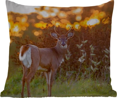 Tuinkussen - Hert - Planten - Zonsondergang - Wilde dieren - Natuur - 40x40 cm - Weerbestendig