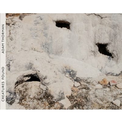 Creatures Found - Adam Thorman