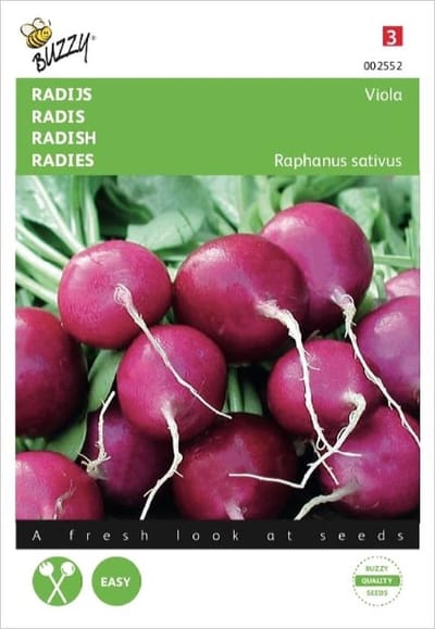 Buzzy Radijs zaden Viola