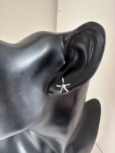 Zeester oorknopjes | Make up | Parfum | Moederdag | Verjaardagscadeau| Cadeautje| Valentijnsdag| Kado | sieraden | vaderdag | oorbellen | oorsieraden