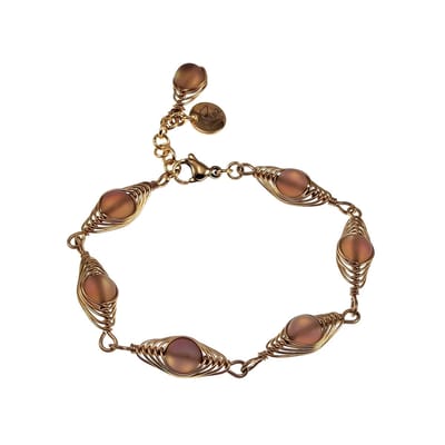 16 tot 19cm Armband Dames - RVS Goudkleur - Visgraat Armband met Matbruine Kristallen - Bruin Armband - Verstelbaar