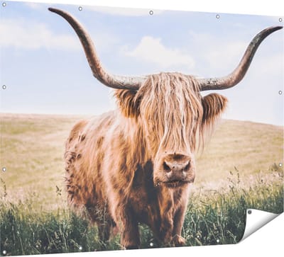 Gards Tuinposter Schotse Hooglander Koe in de Wei - 160x120 cm - Tuindoek - Tuindecoratie - Wanddecoratie buiten - Tuinschilderij