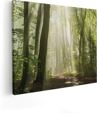 Artaza Canvas Schilderij Zonnestralen Bos - 50x40 cm - Wanddecoratie Landschap - Muurdecoratie Woonkamer - Schilderijen Op Canvas