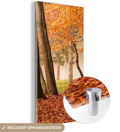 MuchoWow® Glasschilderij 20x40 cm - Schilderij acrylglas - Bladeren - Herfst - Bos - Foto op glas - Schilderijen