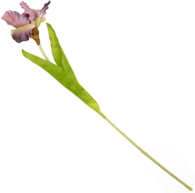 HomeBound by KY | Kunstbloem iris oudroze | kunstbloem | kunstbloem iris