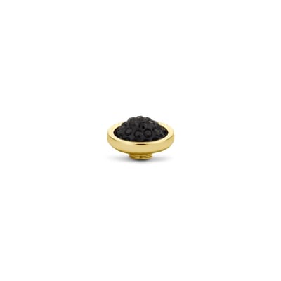 Melano Vivid Shiny Steentje Jet Black | Goud