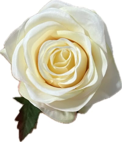 AMALIA HONING KLEUR KUNSTROZEN - Rozenkoppen 12 stuks - Mooie Kwaliteit Kunstbloemen - Nepbloemen - Rozen zonder Steltjes - Kunstbloemen voor Decoraties/ Versieringen - DIY Bloemen - Rozen voor de Bloemenmuur