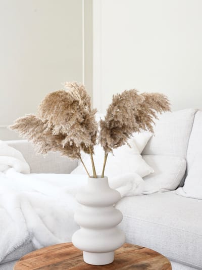 Pampas pluimen | 15 stuks | Pampasgras | Droogbloemen | 100 cm| Boeket decoratie pluimen | Woondecoratie | Decoratie | Luxury Living | Rietpluimen