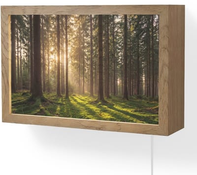 Wandlamp 30x20 cm - Oplaadbaar - Bos - Gras - Zonlicht - Wandlampen binnen woonkamer - Slaapkamer lamp met kabel - Decoratieve nachtlamp - Vloerlamp snoer