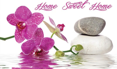 Zen Orchids Flowers Stones Water Photo Wallcovering