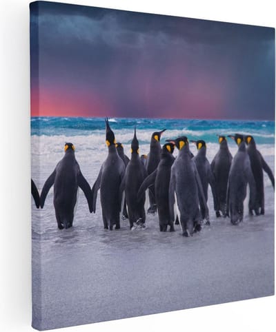 Artaza Canvas Schilderij Dieren - 30x30 cm - Klein - Wanddecoratie Zee - Muurdecoratie Pinguïns Strand - Kamer Accessoires