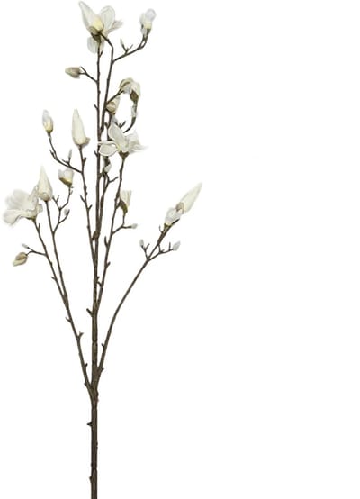 Kunsttak Magnolia Spray Cream - 155 cm