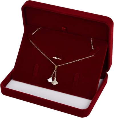 Grote Velvet Sieraden Organizer met Geschenkdoos, Ideaal voor Kettingen, Oorbellen en Ringen, Perfect voor Trouwringen en Reizen