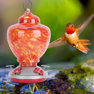 Kleurrijke Tuinschilderij Vogelvoederbak Watervoedergereedschap Apparatuur voor Kolibries Gebruik Type 1 green