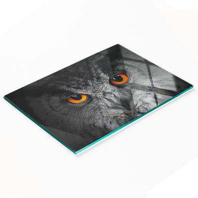 Glazen serveerplank met uil en duivelsogen, 80x52 cm