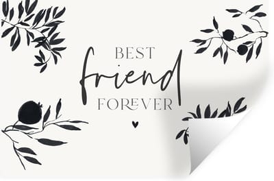 Muurstickers - Sticker Folie - BFF - Best friends forever - Beste vrienden - Quotes - Spreuken - 30x20 cm - Plakfolie - Muurstickers Kinderkamer - Zelfklevend Behang - Zelfklevend behangpapier - Stickerfolie