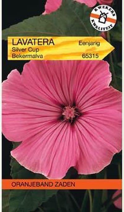 Oranjebandzaden -  Lavatera, Bekermalva Silver Cup