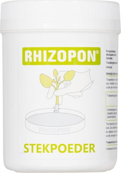 RHIZOPON CHRYZOTOP GROEN 0.25% 80 GRAM