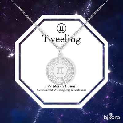 Bixorp Stars Sterrenbeeld Ketting Tweeling / Gemini - Stainless Steel Medailon Zilverkleurig - 45cm Ketting met Zodiac Hanger - Inclusief Cadeau Verpakking