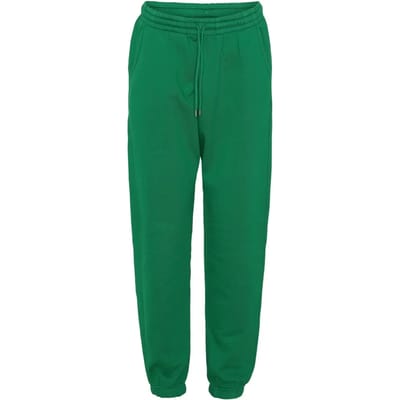 Jogging Colorful Standard Organic kelly green