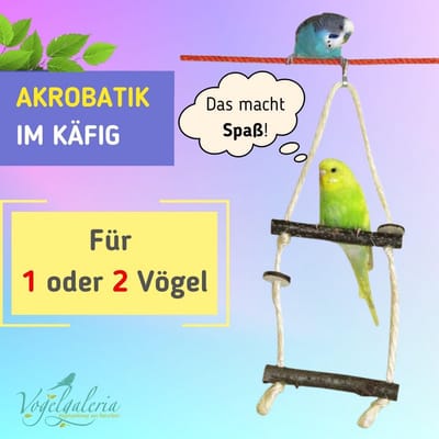 Natuurlijke Houten Schommel voor Grasparkieten - Handgemaakt Vogelspeelgoed voor Twee Vogels